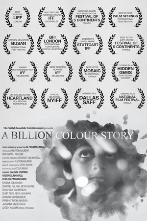 A Billion Colour Story 2016 Movie | Hindi Full Movie HDRip x264 [840MB]