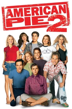 American Pie 2 (2001) Dual Audio | Hindi Full Movie BluRay 375MB