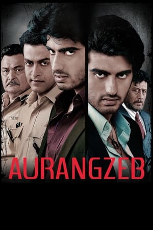 Aurangzeb (2013) Movie | Hindi Full Movie HDRip x264 [1.2GB]