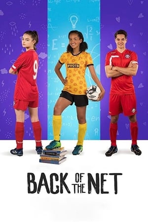 Back of the Net (2019) Dual Audio | Hindi Full Movie Web-DL [800MB]