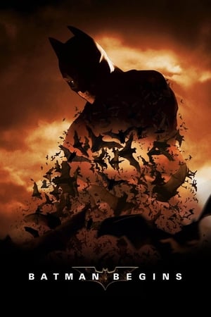 Batman Begins (2005) Dual Audio Bluray | Hindi Full Movie [980MB] Download