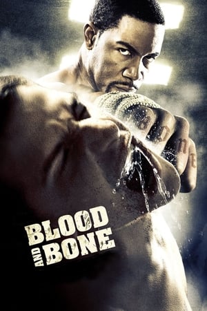 Blood and Bone (2009) Dual Audio | Hindi Full Movie BluRay [950MB]