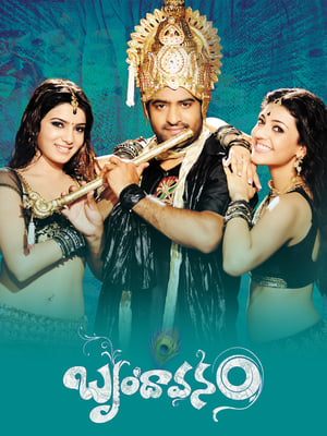 Brindavanam (The Super Khiladi) (2010) ( – Telugu) Dual Audio | Hindi Full Movie UnCut HDRip [1.4GB]