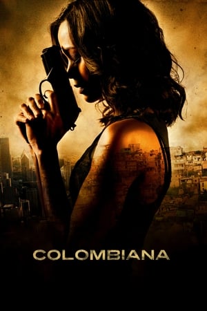 Colombiana (2011) Dual Audio | Hindi Full Movie BluRay [1.1GB]