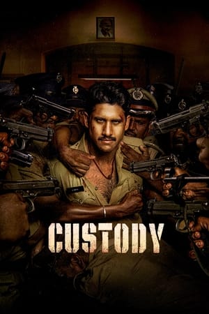 Custody 2023 (ORG) Dubbed HDTVRip | Hindi Full Movie – 480p