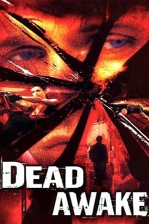 Dead Awake 2001 Dual Audio | Hindi Full Movie WebRip 300MB