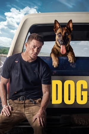 Dog (2022) Dual Audio HDRip | Hindi Full Movie – 480p