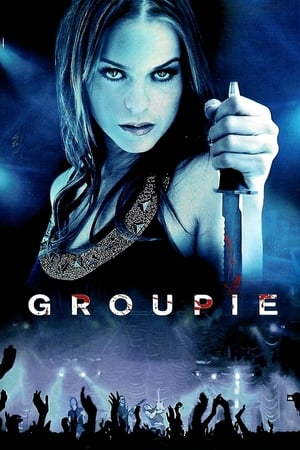 Groupie (2010) Dual Audio | Hindi Full Movie BluRay 300MB