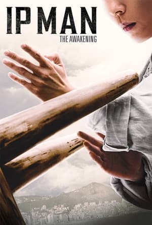Ip Man: The Awakening (2022) Dual Audio HDRip | Hindi Full Movie – 480p