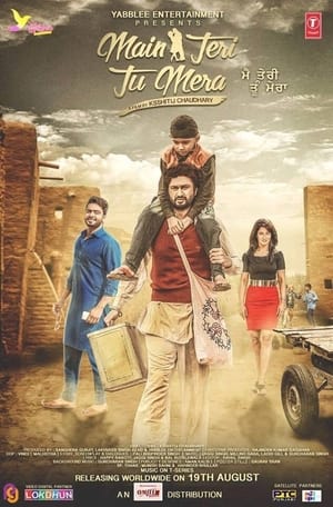 Main Teri Tu Mera 2016 Punjabi | Hindi Full Movie HDRip ESubs [400 MB]