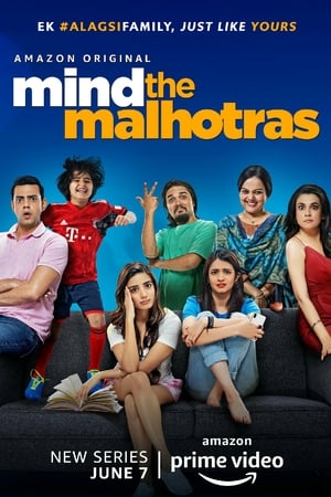 Mind the Malhotras (2019) Season 1 Web Series HDRip | Hindi Full Movie | 480p [Complete]