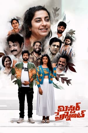 Mr. Pregnant (2023) ( – Telugu) Dual Audio UnCut HDRip | Hindi Full Movie – 480p