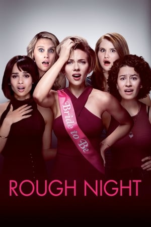 Rough Night (2017) Dual Audio | Hindi Full Movie BluRay 400MB