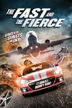 The Fast and the Fierce 2017 Dual Audio | Hindi Full Movie BluRay [900MB]