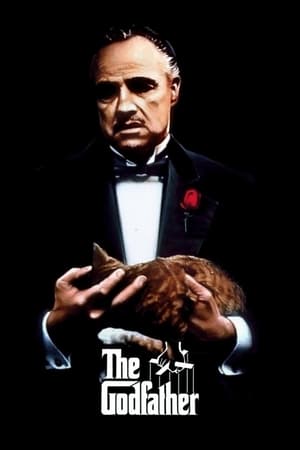 The Godfather Part I (1972) Dual Audio Movie | Hindi Full Movie BluRay - 1GB