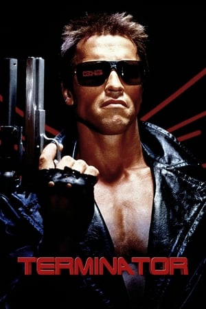 The Terminator (1984) Dual Audio | Hindi Full Movie BluRay 380MB