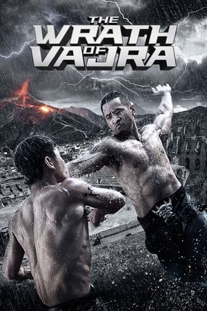 The Wrath of Vajra (2013) Dual Audio | Hindi Full Movie BluRay [900MB]