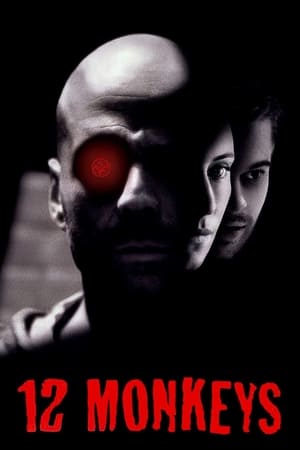 Twelve Monkeys (1995) Dual Audio Movie | Hindi Full Movie BluRay - 880MB
