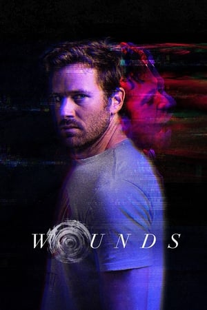 Wounds (2019) Dual Audio | Hindi Full Movie BluRay [930MB]