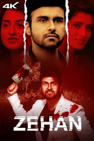 Zehan 2024 HDRip | Hindi Full Movie – 480p
